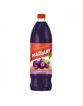 SUCO MAGUARY CONC UVA 1L